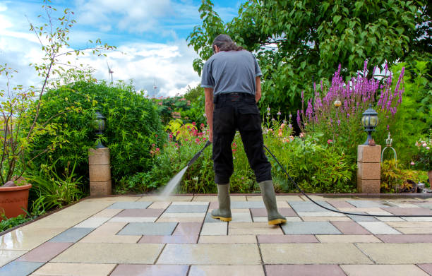 Best Animal Enclosure Cleaning  in Lexington, OK